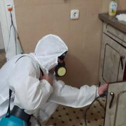 Дезинфекция от муравьев в квартире Лихоборы метро Москвы