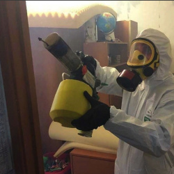 Уничтожение клопов в квартире. Лихоборы